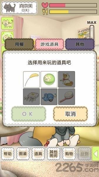 我家不可思议的猫咪汉化版下载,我家不可思议的猫咪,模拟游戏,经营游戏,休闲游戏